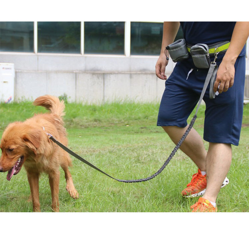 ✨Last Day 49% OFF🐕Adjustable Hands Free Dog Leash