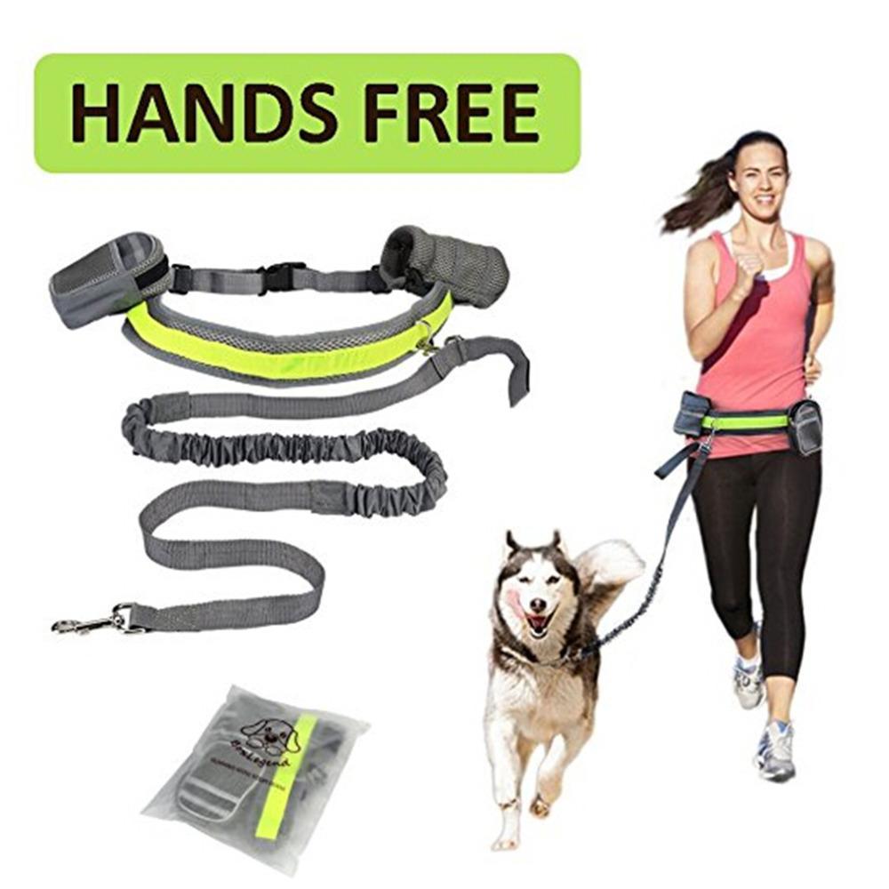 ✨Last Day 49% OFF🐕Adjustable Hands Free Dog Leash